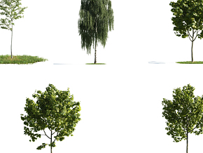 现代贴墙树木 绿植 植物 树木  植物墙3d模型