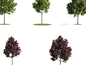 现代贴墙树木 绿植 植物 树木  植物墙3d模型