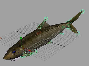 北梭鱼fbx动画模型下载