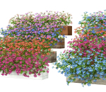 小花卉灌木配景花盆的植物模型