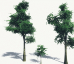 游戏的植物模型素材