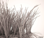 球根草芦苇模型