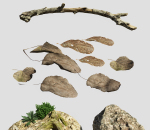 现代树叶树枝树干树根石头植物组合3D模型