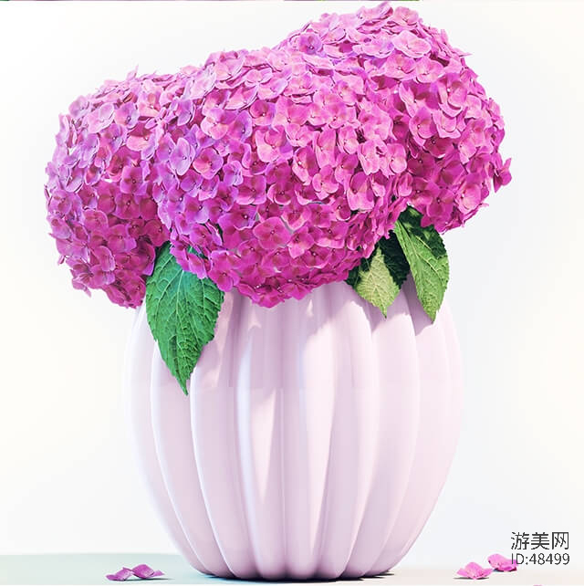 粉色的绣球花和白色花瓶模型