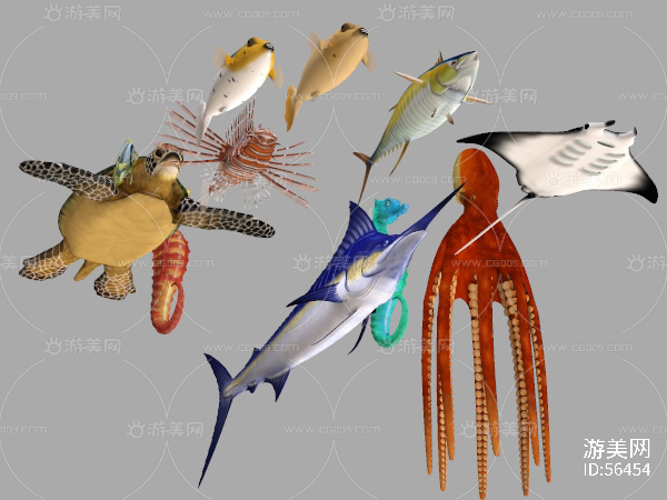 海洋生物,海底动物,海马海龟,剑鱼章鱼,海鱼