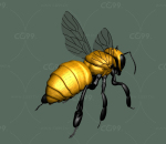 蜜蜂3D模型