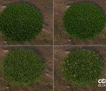 4组植被 草地 花朵 草坪（标准渲染器）