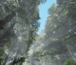 UE4 高质量真实森林 植物树木 花草河流 巨大的热带雨林 虚幻4