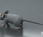 卡通老鼠 精细老鼠 小老鼠 小耗子 可爱老鼠 啮齿动物 仓鼠 灰老鼠 宠物
