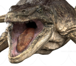 恐龙  海王龙 沧龙 泰乐龙侏罗纪 灭绝的动物 蜥蜴 古生物 爬行动物 龙 食肉恐龙 远古生物