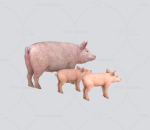 大猪小猪3D模型