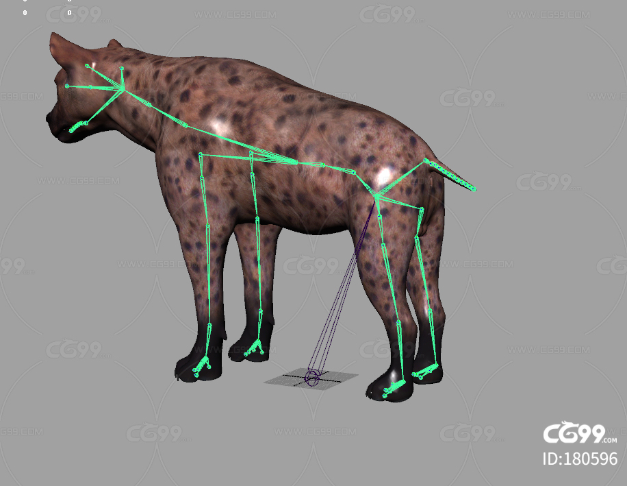 非洲鬣狗 野狗 非洲二哥野生动物模型带4K贴图 骨骼权重