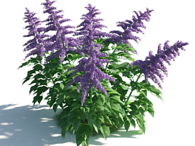 植物模型紫色花模型鲜花模型花草模型