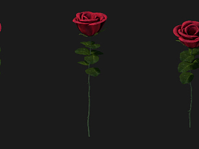玫瑰花 3d模型