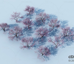 现代樱花树 稀疏树林 3d模型