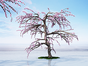 现代桃树 3d模型