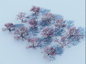 现代樱花树 稀疏树林 3d模型