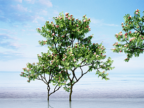 现代桃树 3d模型