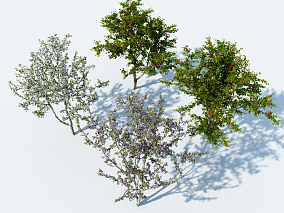 现代桃树果树 3d模型