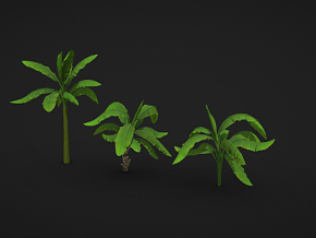 卡通树 卡通植物 棕榈树 卡通棕榈树 可爱树 绿叶树 游戏场景 3D模型