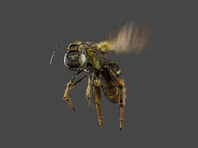Blender 蜜蜂 3d模型