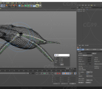 鲸鱼(鲲)C4D 绑定模型含动画绑定