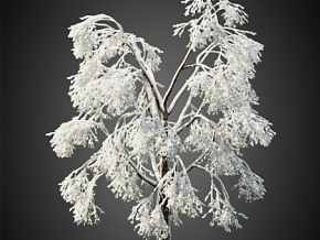 雪中的树 雪树冬季的树 雪地树木雪天枯树冬季树木老树雪地里的树雪景 (17) CR渲