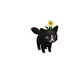纯黑小猫咪 动物 游戏模型