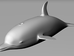 海豚 动物  犀牛模型