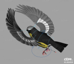 鸟 黑色小鸟 带绑定控制器 卡通小鸟麻雀