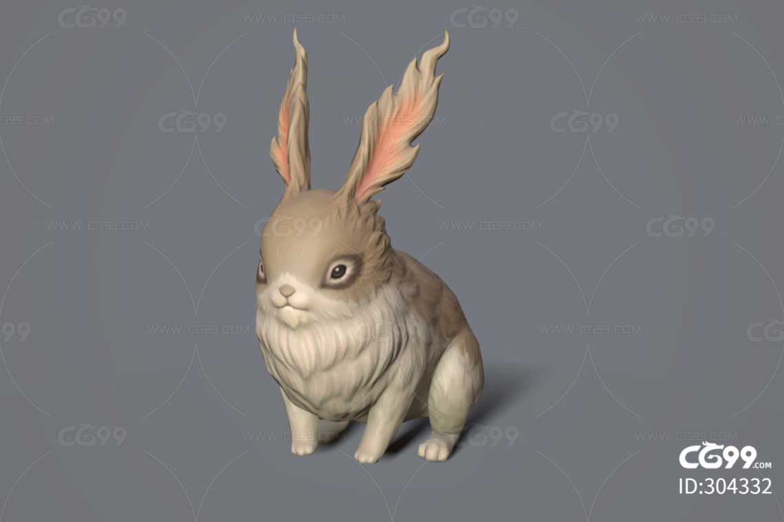 仙兔 萌宠 兔子 灵兔