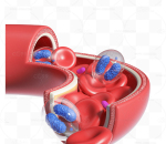 血管特写医疗细胞 红细胞