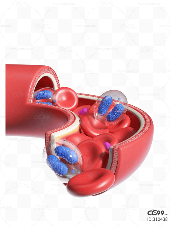 血管特写医疗细胞 红细胞