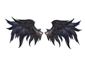 黑羽翅膀 cg模型 西幻风格