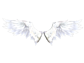 白羽翅膀 cg模型 西幻风格