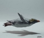 游泳长冠企鹅 雕塑 动物 STL模型