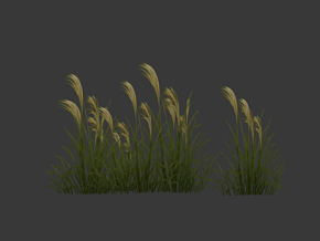 灌木芦苇 动画 游戏 场景部件 植物 花草