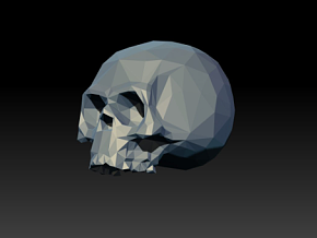 人头骨 人体结构模型 lowploy 解剖结构 头盖骨