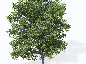 场景树木资源包 游戏资源 MAX模型