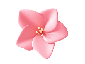粉色五花瓣 鲜花 粉色花 动画 植物