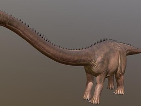 恐龙 侏罗纪恐龙 古代动物 古代恐龙 爬行动物 恐龙动物