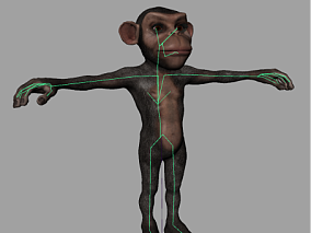 猴子cg模型