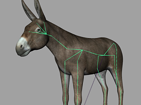 写实驴子模型maya模型