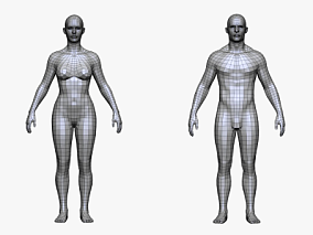 基础人体3D模型