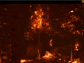 UE4 超真实森林火焰 烟雾 特效 植物 虚幻4