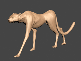猎豹3D模型（打印）