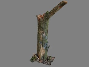 PBR写实破损树枝3d模型