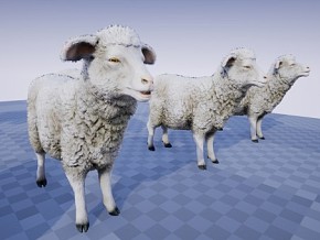 ue4 家禽家畜 鸡 牛 羊 猪 有动画  虚幻4 3d模型