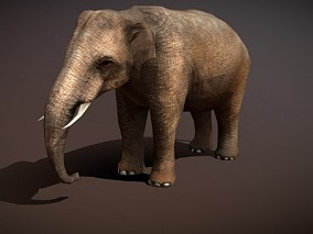 写实泰国大象CG模型
