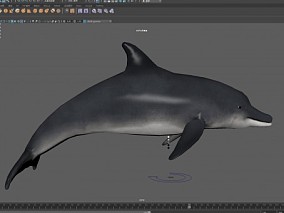 鱼 海豚 3d模型